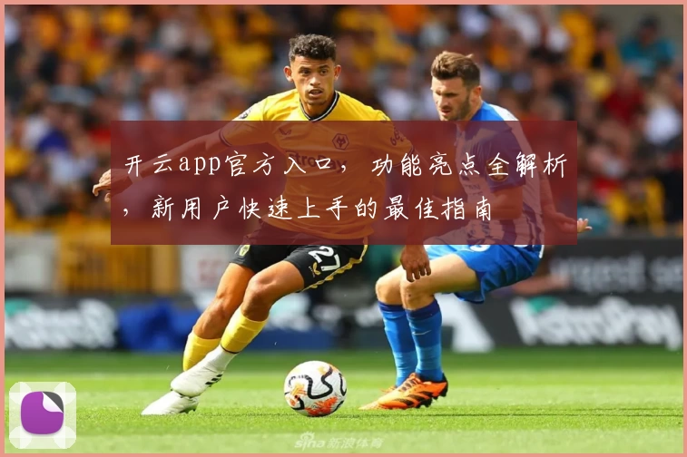 开云app官方入口，功能亮点全解析，新用户快速上手的最佳指南
