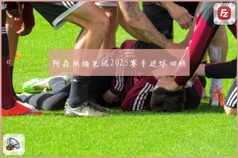 阿森纳梅里诺2025赛季进球回顾