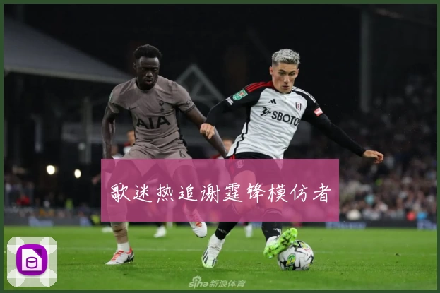 歌迷热追谢霆锋模仿者